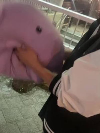 あしたには笑えるやろか